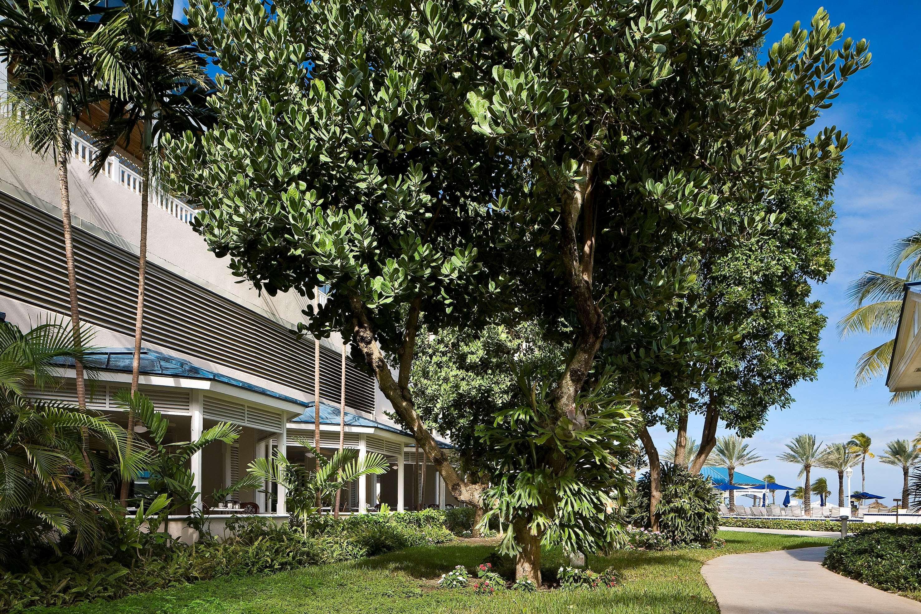 Melia Nassau Beach Εξωτερικό φωτογραφία